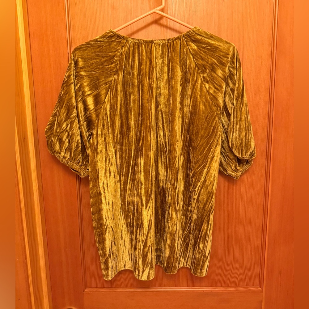 Puff Sleeve Velvet Top - Picture 4 of 9